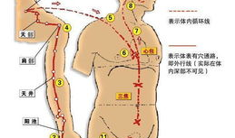 敲打三焦经视频,视频教程详解
