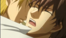 异国色恋浪漫谭动漫,跨越国界的浪漫传奇